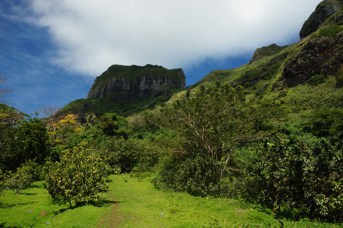 Hiking in Bora Bora, Valley of the Kings tour| www.viktoriastable.com