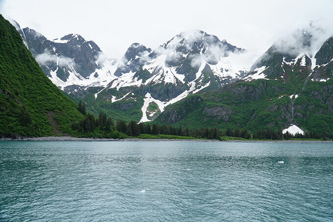 Into the wild Alaska - Seward boat cruise in Kenai Fjords National Park | www.viktoriastable.com