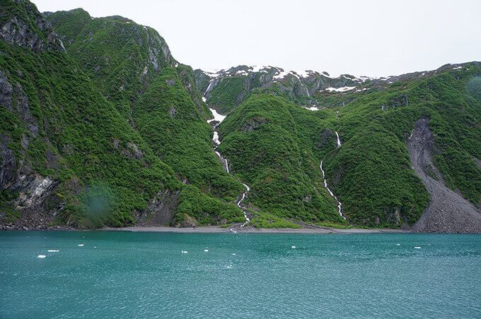 Into the wild Alaska - Seward boat cruise in Kenai Fjords National Park | www.viktoriastable.com