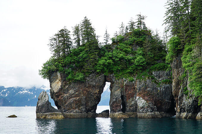 Into the wild Alaska - Seward boat cruise in Kenai Fjords National Park | www.viktoriastable.com