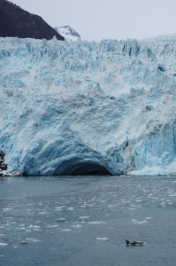 Into the wild Alaska - Holgate glacier, Kenai Fjords National Park | www.viktoriastable.com