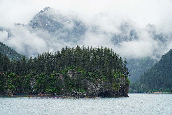 Into the wild Alaska - Seward boat cruise in Kenai Fjords National Park | www.viktoriastable.com