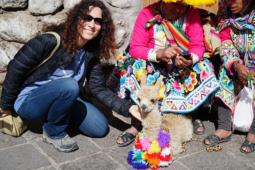 Baby alpaca on the streets of Cusco