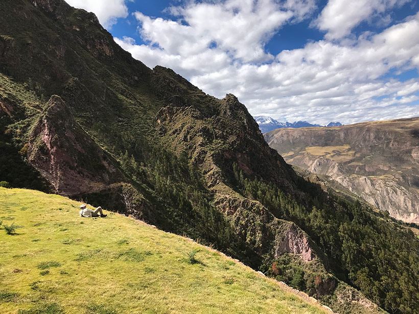 Hiking the Quarry trail to Machu Picchu | www.viktoriastable.com