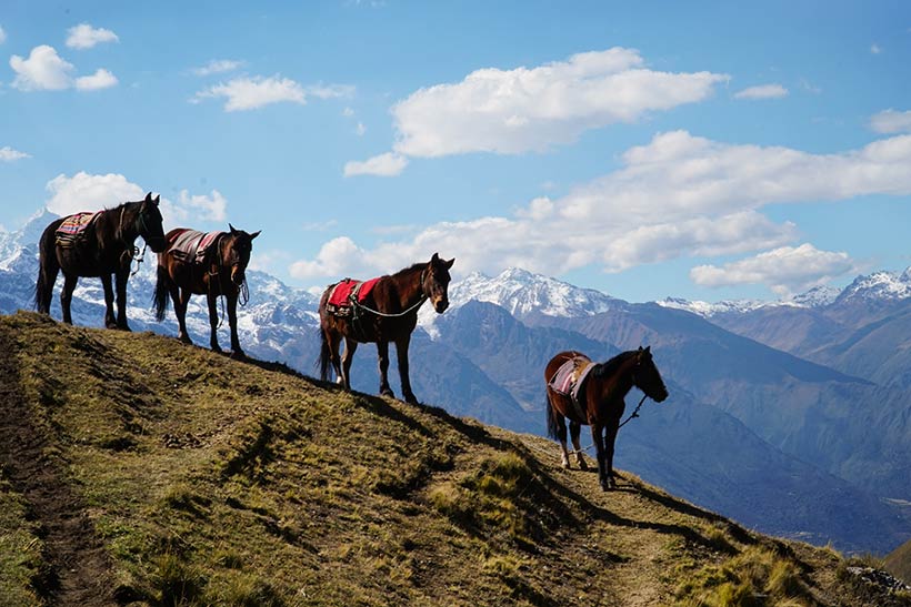 Hiking the Quarry trail to Machu Picchu | www.viktoriastable.com