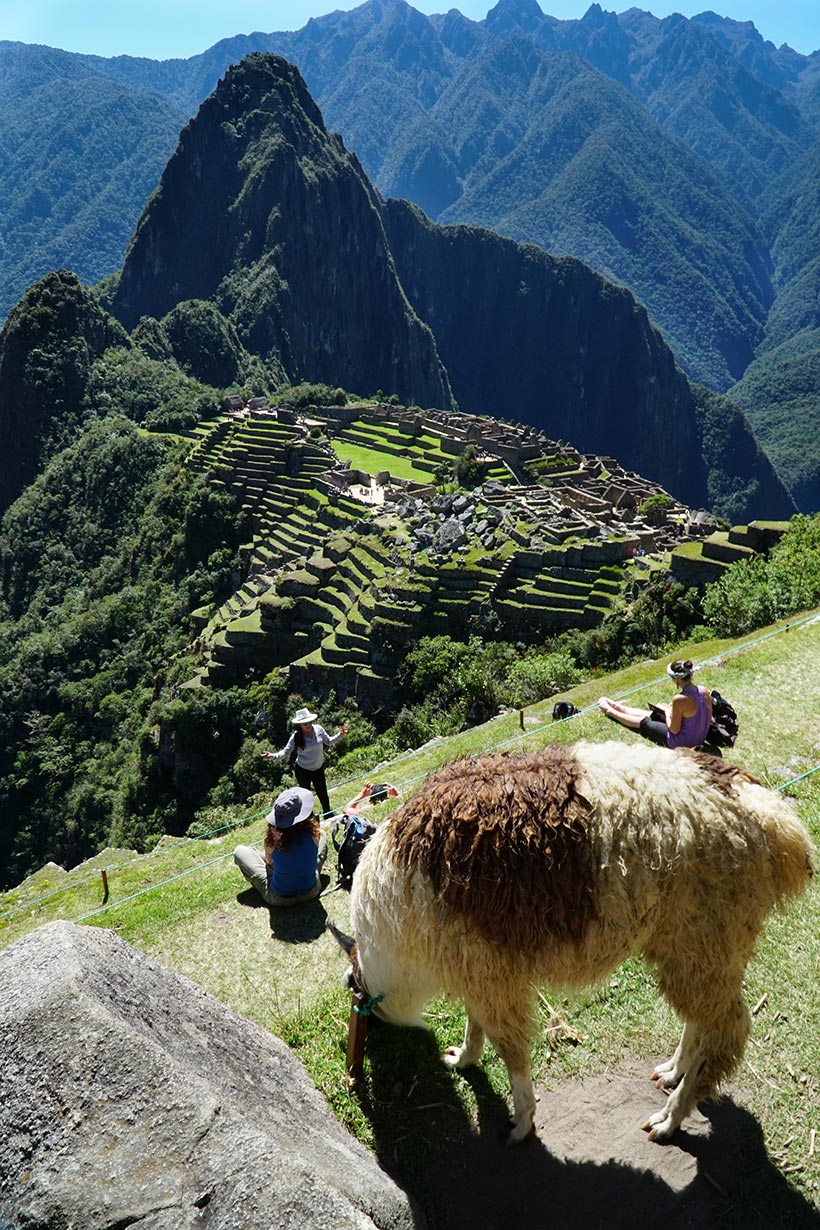 Hiking the Quarry trail to Machu Picchu | www.viktoriastable.com