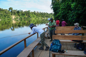 Amazon jungle, Tambopata National Reserve | www.viktoriastable.com