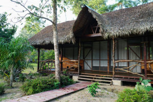 Amazon jungle, Tambopata National Reserve | www.viktoriastable.com