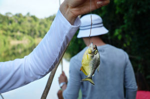 Amazon jungle, Tambopata National Reserve | www.viktoriastable.com