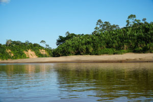 Amazon jungle, Tambopata river | www.viktoriastable.com