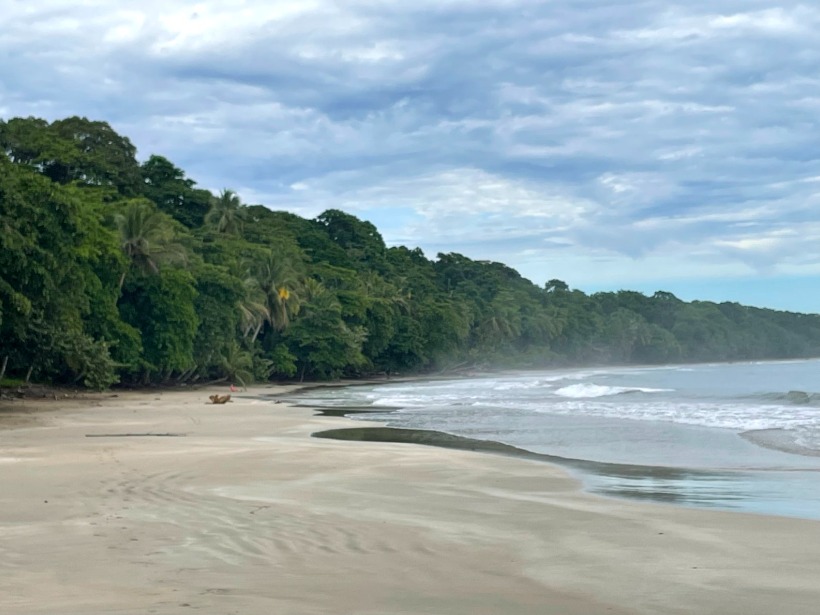 Manzanillo beach