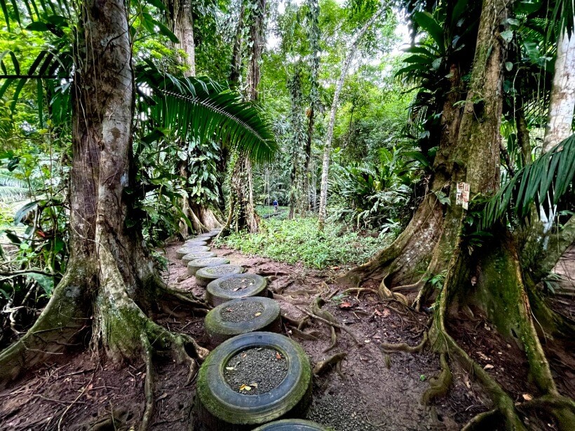 Congo Bongo Eco Village