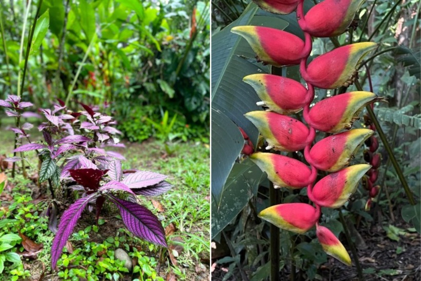 Congo Bongo Eco Village