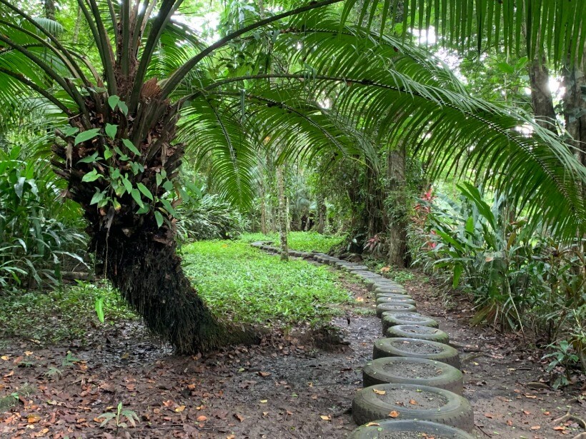 Congo Bongo Eco Village