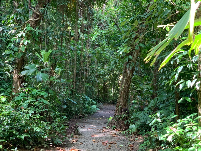 Gandoca-Manzanillo National Wildlife Refuge