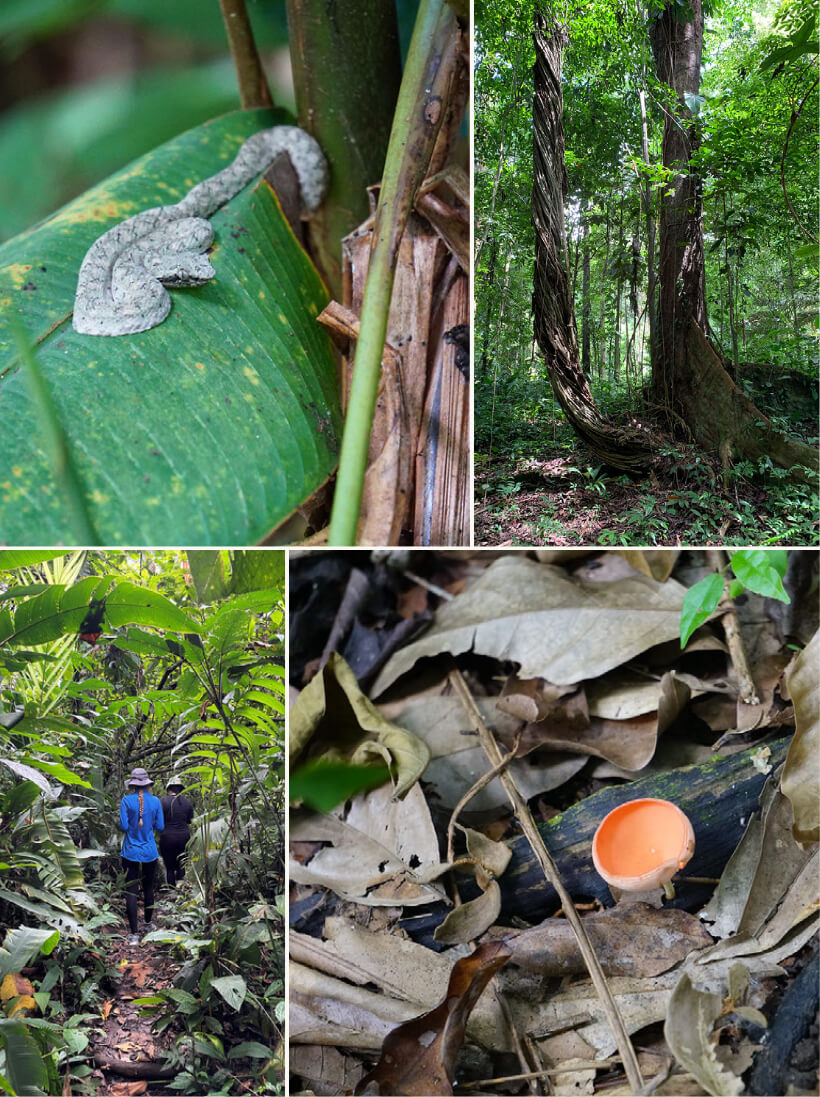 Gandoca-Manzanillo National Wildlife Refuge