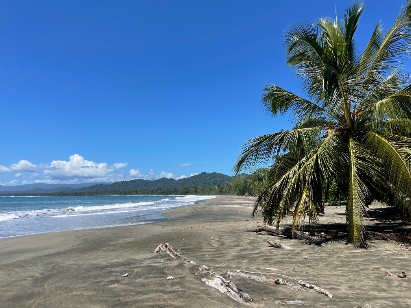 Cahuita park