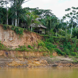 Amazon jungle, Tambopata river | www.viktoriastable.com